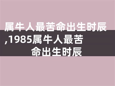 属牛人最苦命出生时辰,1985属牛人最苦命出生时辰