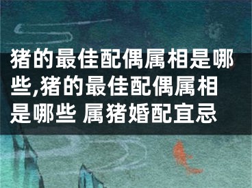 猪的最佳配偶属相是哪些,猪的最佳配偶属相是哪些 属猪婚配宜忌