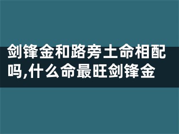 剑锋金和路旁土命相配吗,什么命最旺剑锋金