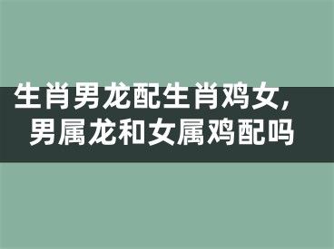 生肖男龙配生肖鸡女,男属龙和女属鸡配吗