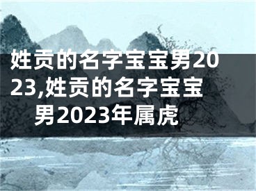 姓贡的名字宝宝男2023,姓贡的名字宝宝男2023年属虎