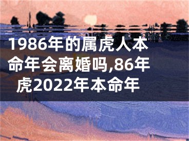 1986年的属虎人本命年会离婚吗,86年虎2022年本命年