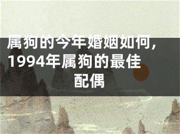 属狗的今年婚姻如何,1994年属狗的最佳配偶