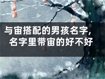 与宙搭配的男孩名字,名字里带宙的好不好