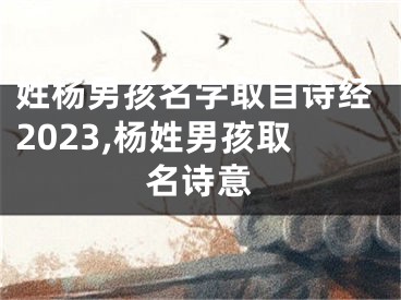 姓杨男孩名字取自诗经2023,杨姓男孩取名诗意