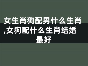 女生肖狗配男什么生肖,女狗配什么生肖结婚最好