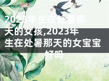 2023年生在处暑那天的女孩,2023年生在处暑那天的女宝宝好吗