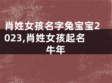 肖姓女孩名字兔宝宝2023,肖姓女孩起名牛年