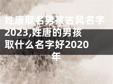 姓唐取名男孩古风名字2023,姓唐的男孩取什么名字好2020年