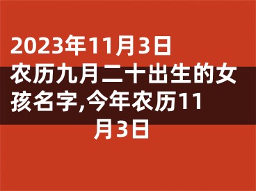 2023年11月3日农历九月二十出生的女孩名字,今年农历11月3日