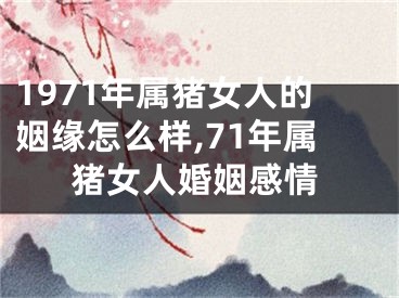 1971年属猪女人的姻缘怎么样,71年属猪女人婚姻感情