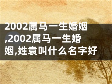 2002属马一生婚姻,2002属马一生婚姻,姓袁叫什么名字好