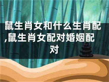 鼠生肖女和什么生肖配,鼠生肖女配对婚姻配对