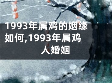 1993年属鸡的姻缘如何,1993年属鸡人婚姻