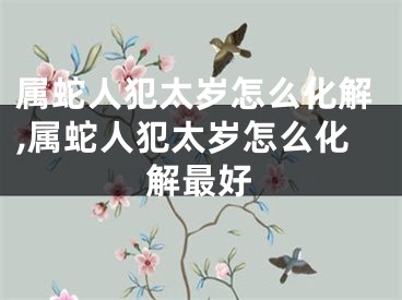 属蛇人犯太岁怎么化解,属蛇人犯太岁怎么化解最好