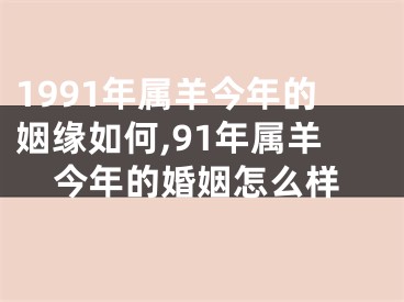 1991年属羊今年的姻缘如何,91年属羊今年的婚姻怎么样