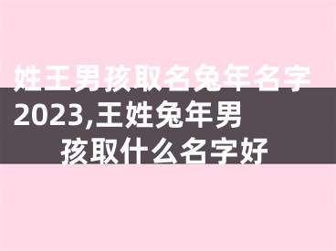 姓王男孩取名兔年名字2023,王姓兔年男孩取什么名字好