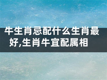 牛生肖忌配什么生肖最好,生肖牛宜配属相