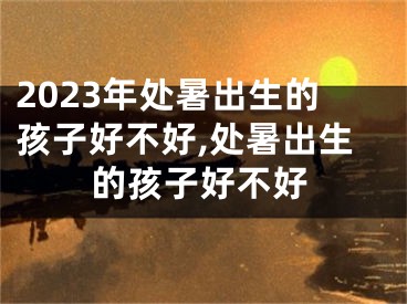 2023年处暑出生的孩子好不好,处暑出生的孩子好不好