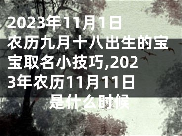 2023年11月1日农历九月十八出生的宝宝取名小技巧,2023年农历11月11日是什么时候