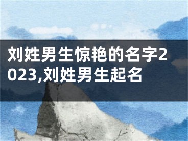 刘姓男生惊艳的名字2023,刘姓男生起名