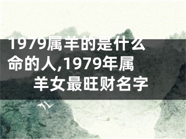 1979属羊的是什么命的人,1979年属羊女最旺财名字