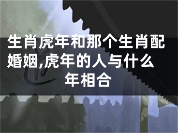 生肖虎年和那个生肖配婚姻,虎年的人与什么年相合