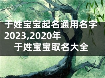 于姓宝宝起名通用名字2023,2020年于姓宝宝取名大全