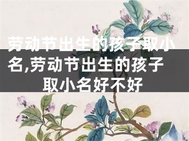 劳动节出生的孩子取小名,劳动节出生的孩子取小名好不好