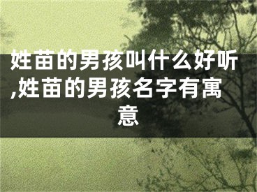 姓苗的男孩叫什么好听,姓苗的男孩名字有寓意