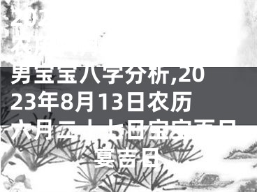 2023年8月13日农历六月二十七出生的男宝宝八字分析,2023年8月13日农历六月二十七日宝宝百日宴吉日