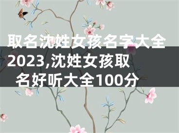 取名沈姓女孩名字大全2023,沈姓女孩取名好听大全100分