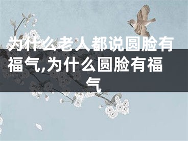 为什么老人都说圆脸有福气,为什么圆脸有福气