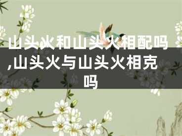 山头火和山头火相配吗,山头火与山头火相克吗