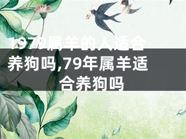 1979属羊的人适合养狗吗,79年属羊适合养狗吗