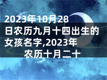 2023年10月28日农历九月十四出生的女孩名字,2023年农历十月二十