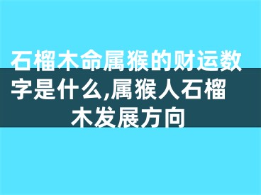 石榴木命属猴的财运数字是什么,属猴人石榴木发展方向