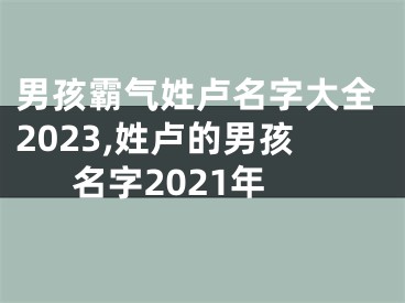 男孩霸气姓卢名字大全2023,姓卢的男孩名字2021年