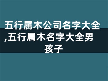 五行属木公司名字大全,五行属木名字大全男孩子