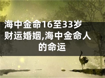 海中金命16至33岁财运婚姻,海中金命人的命运