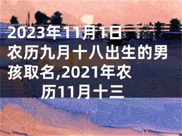 2023年11月1日农历九月十八出生的男孩取名,2021年农历11月十三