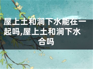 屋上土和涧下水能在一起吗,屋上土和涧下水合吗