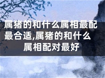 属猪的和什么属相最配最合适,属猪的和什么属相配对最好