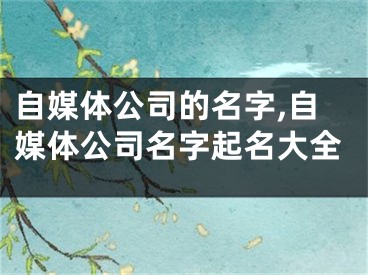 自媒体公司的名字,自媒体公司名字起名大全