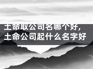 土命取公司名哪个好,土命公司起什么名字好