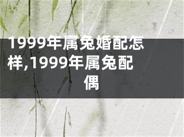 1999年属兔婚配怎样,1999年属兔配偶