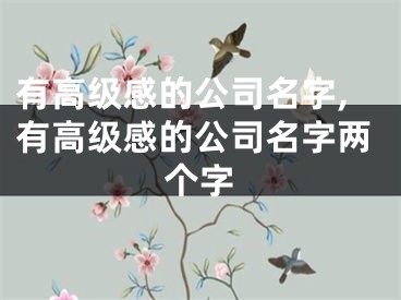 有高级感的公司名字,有高级感的公司名字两个字