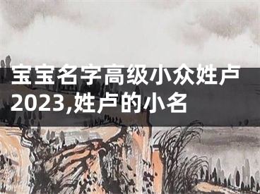 宝宝名字高级小众姓卢2023,姓卢的小名