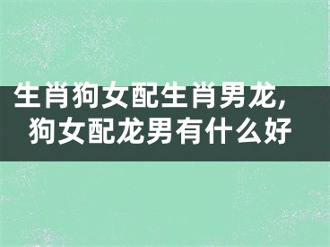 生肖狗女配生肖男龙,狗女配龙男有什么好