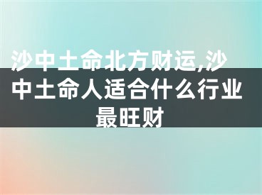 沙中土命北方财运,沙中土命人适合什么行业最旺财